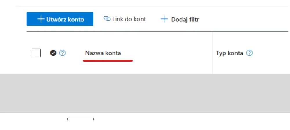 Tabela kont Microsoft Advertising z zamazanymi danymi konta.