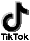 Narzędzie: TikTok Logo TikTok